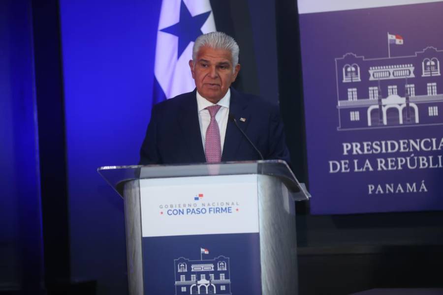 Mina de Cobre: Comisión de ministros presenta sus recomendaciones