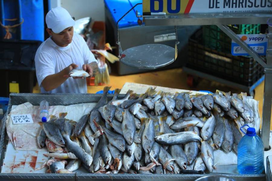 El consumo de mariscos durante la Cuaresma, especialmente los viernes.