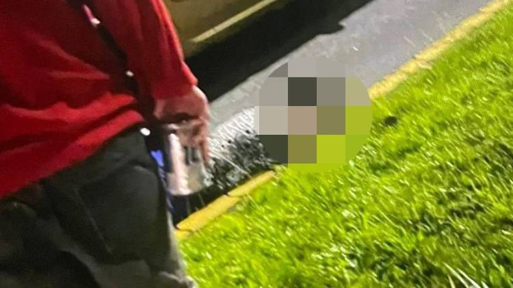 Auto que atropelló a Viviana era conducido por un joven de 21 años