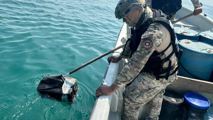 El cargamento fue trasladado bajo estricta custodia para los análisis