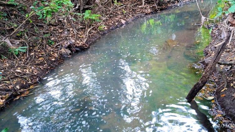 Al lugar del accidente acudió personal del Ministerio de Ambiente (MiAMBIENTE), junto al Benemérito Cuerpo de Bomberos de Panamá.