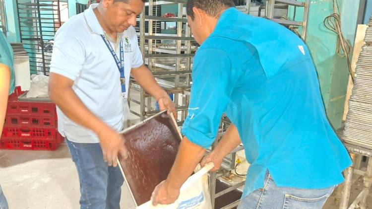 Minsa decomisó aproximadamente tres toneladas de productos.