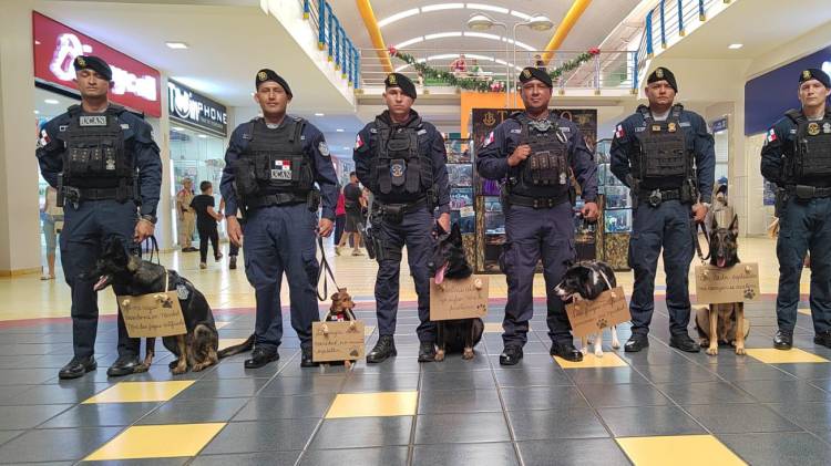 Realizan campaña de sensibilización de la pirotecnia en las mascotas