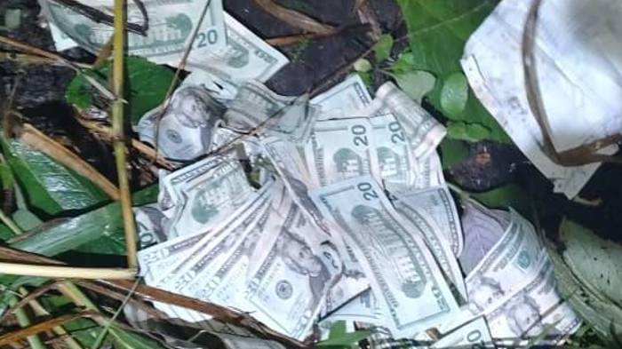 Chiriquí | Los pescaron tras robar local en David