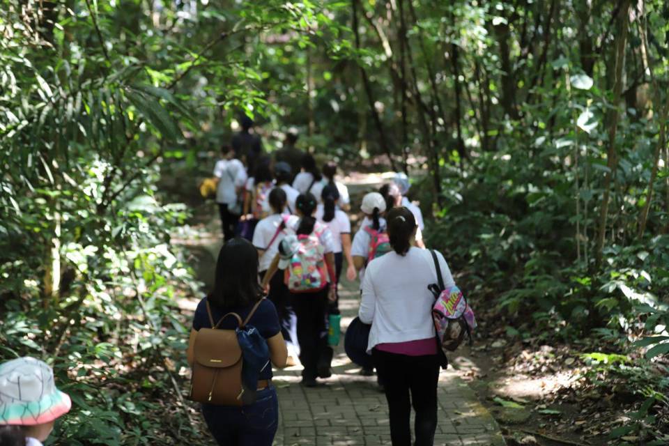 Los sitios más verdes de Panamá: un refugio de naturaleza y biodiversidad