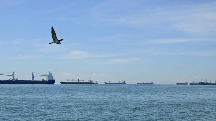 La importante vía acuática fue abierta de manera oficial el 15 de agosto de 1914, con el tránsito del vapor SS Ancon.